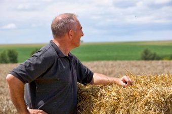 Planificación agrícola finnegans